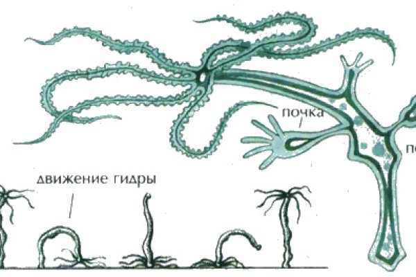 Кракен даркнет только через тор скачать